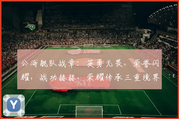公海舰队战章：英勇无畏，荣誉闪耀，战功赫赫，荣耀传承三重境界，彰显军威